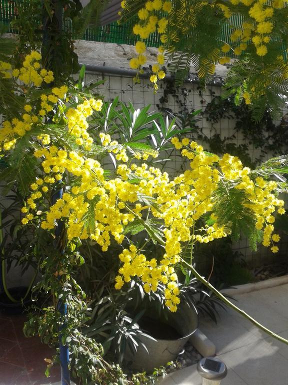 Chambres Et Table D'Hotes Le Jardin De Tesse Тулон Екстериор снимка
